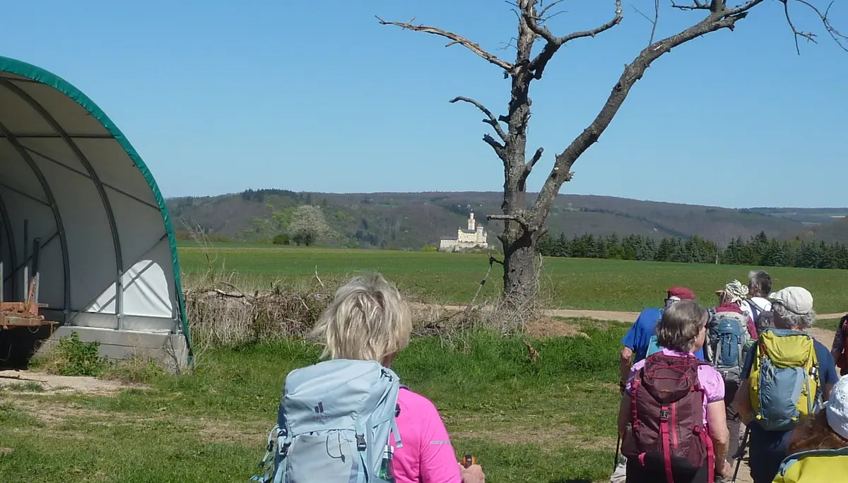 Mit Blick auf die Marksburg bei Braubach | © DAV Koblenz