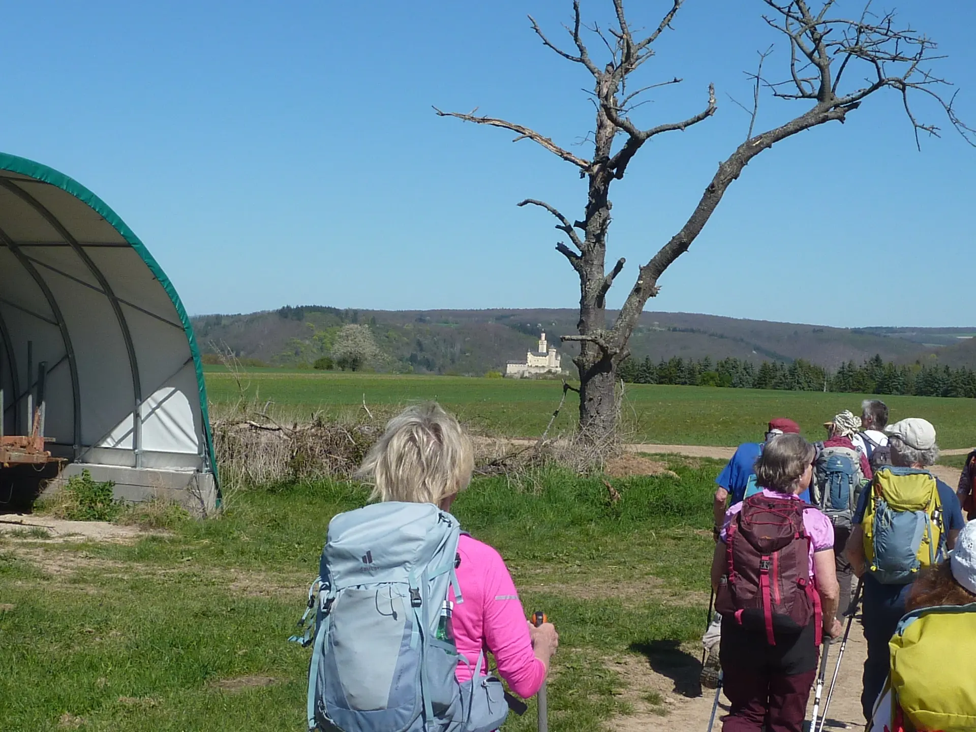 Mit Blick auf die Marksburg bei Braubach | © DAV Koblenz
