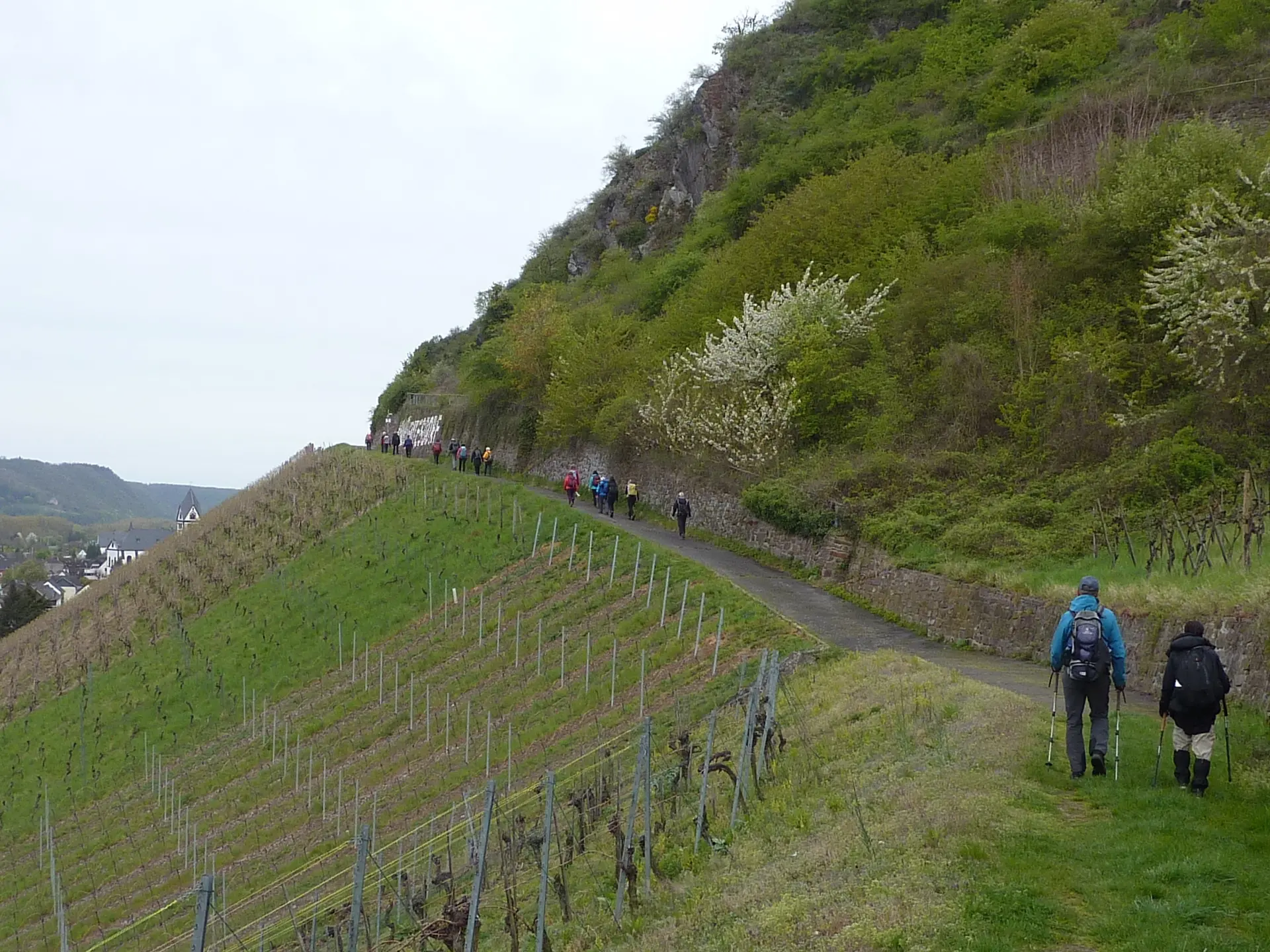 Weinlage Leutesdorf | © DAV Koblenz