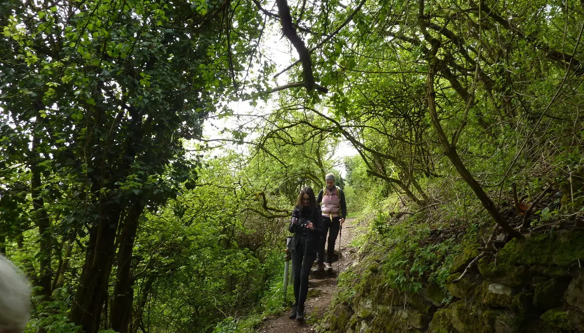 Abgang von der Ruine | © DAV Koblenz
