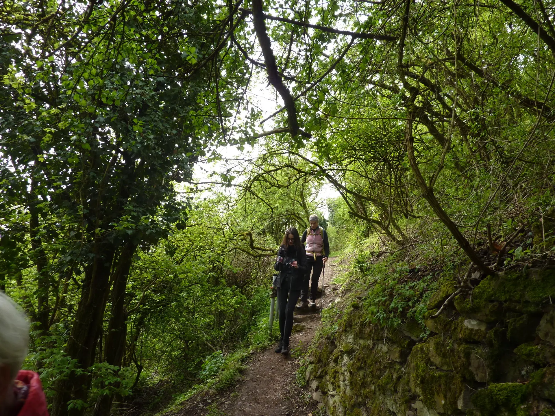 Abgang von der Ruine | © DAV Koblenz