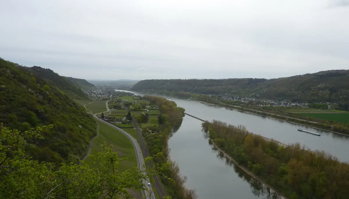Rheinpanorama von Ruine Hammerstein | © DAV Koblenz