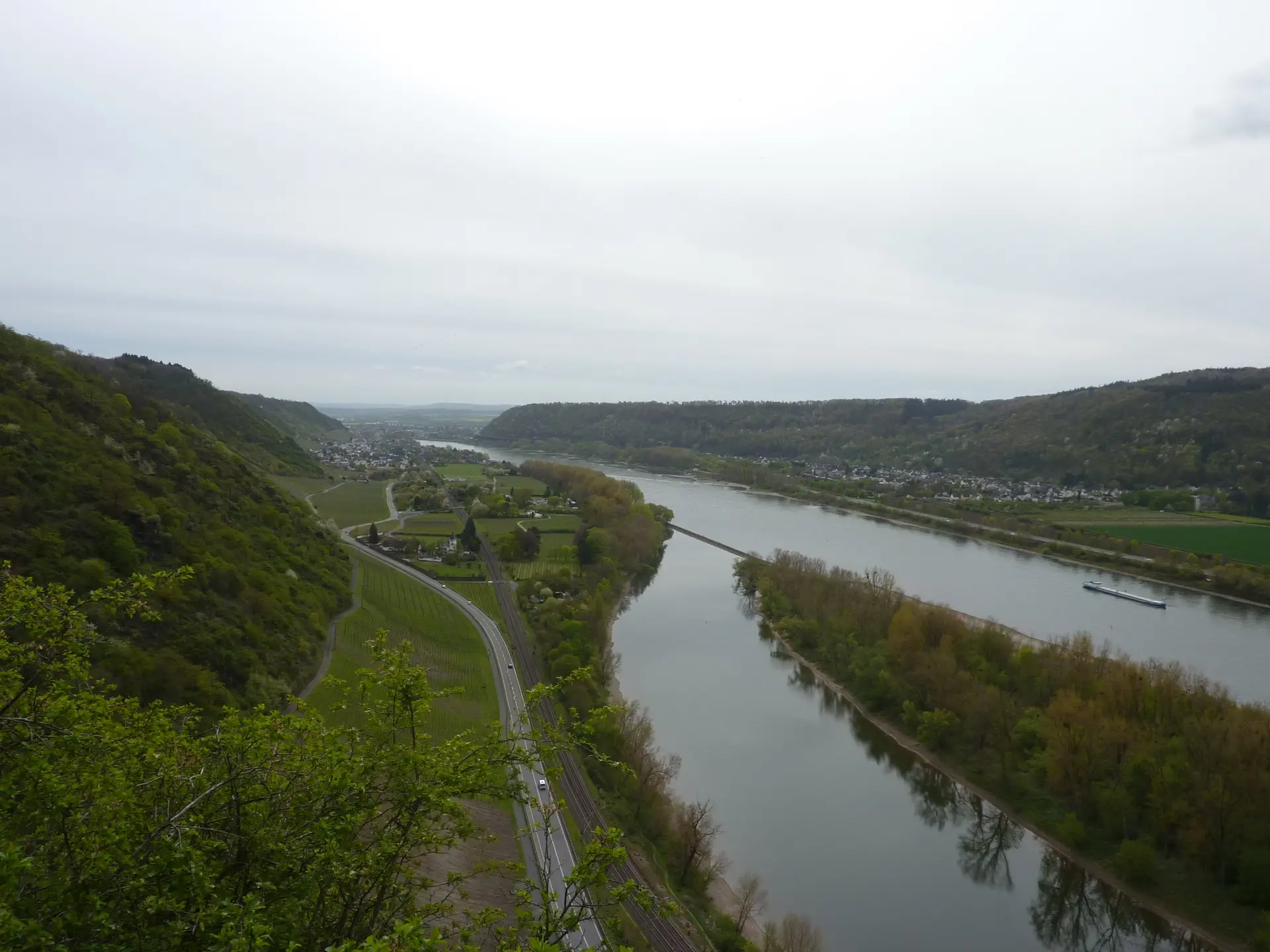Rheinpanorama von Ruine Hammerstein | © DAV Koblenz