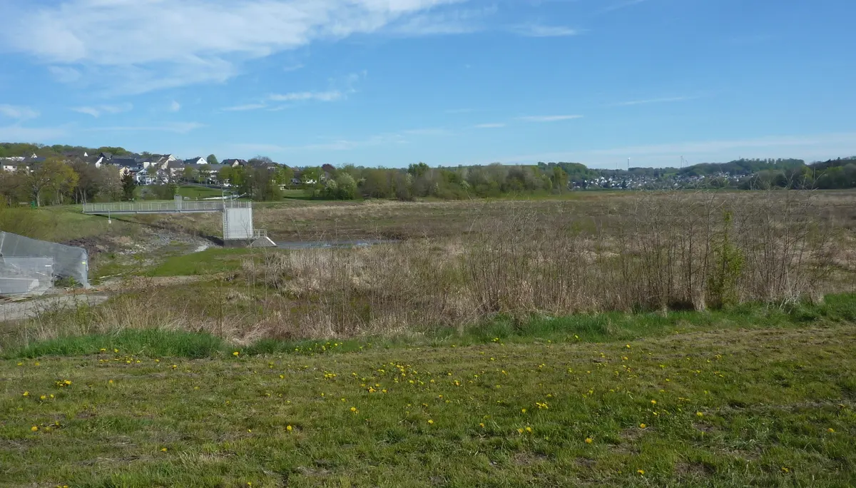 Wiesensee, nur Wasser fehlt. | © DAV Koblenz