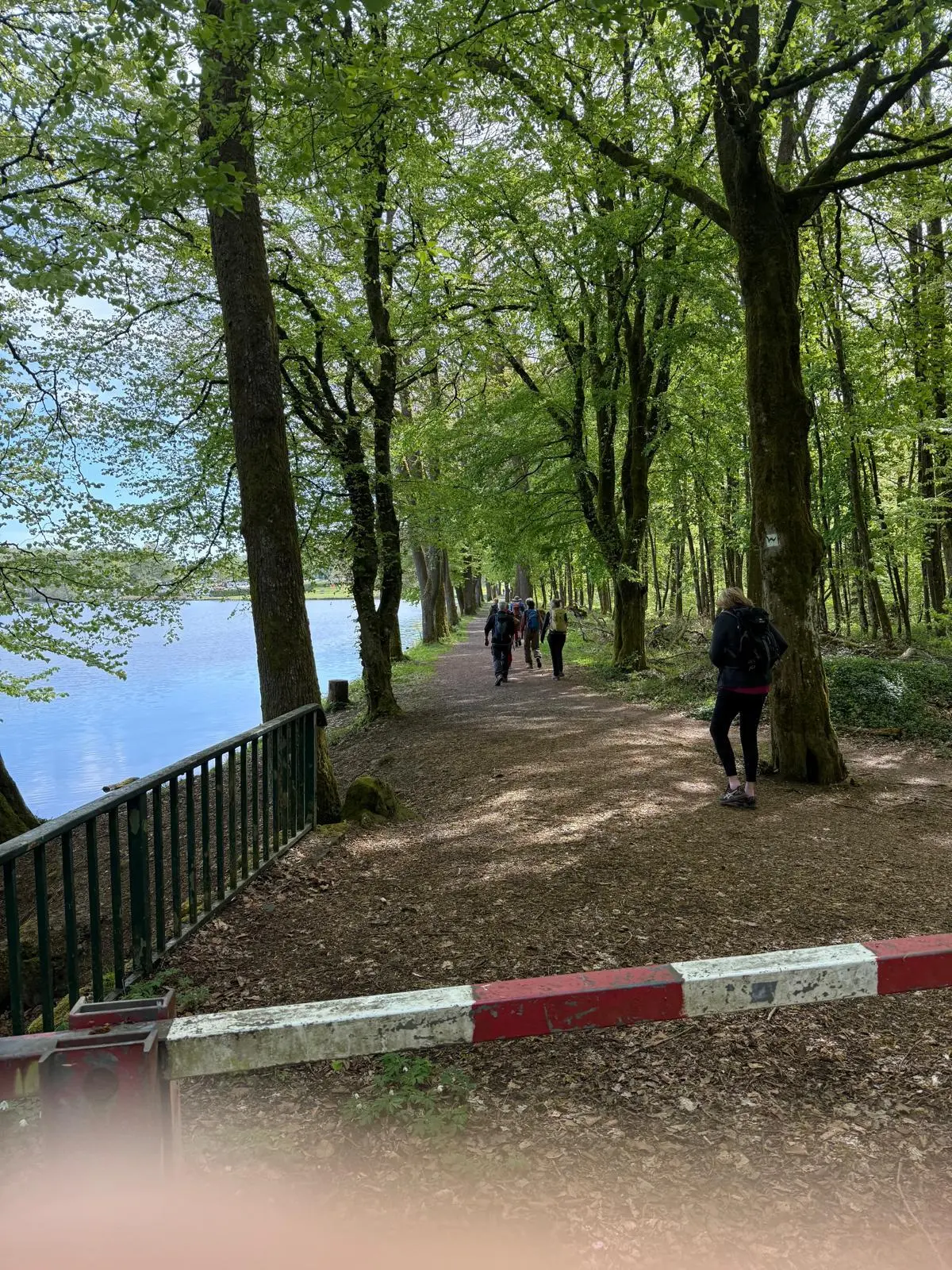 Uferweg Secker Weiher | © DAV Koblenz