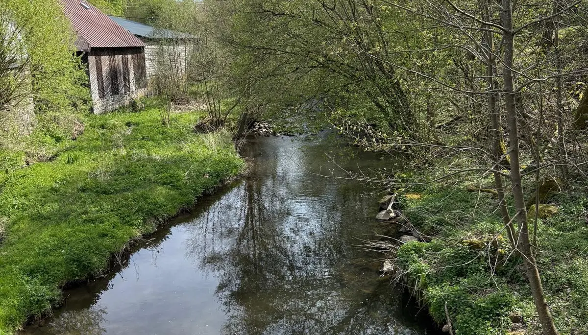 Holzbach | © DAV Koblenz