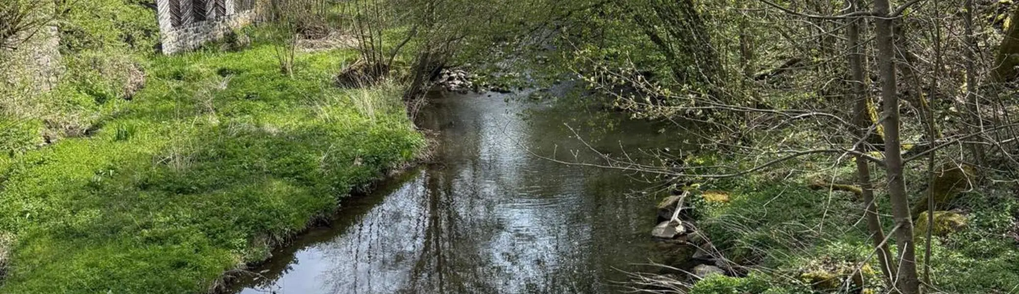 Holzbach | © DAV Koblenz