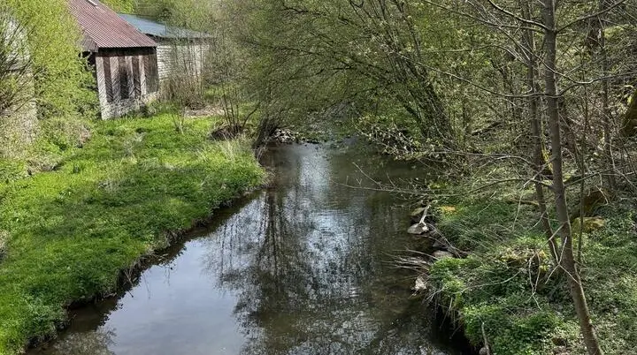 Holzbach | © DAV Koblenz