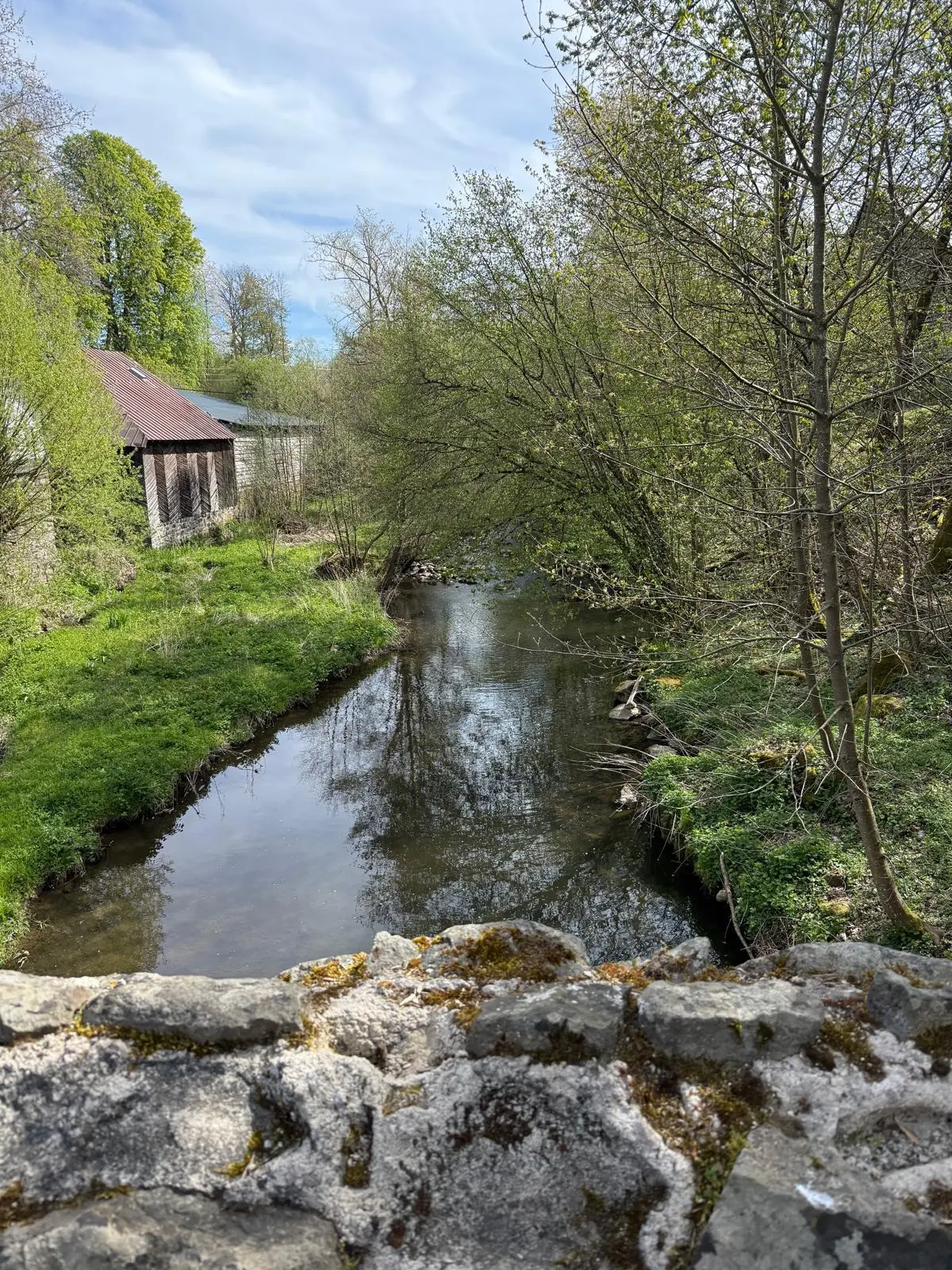 Holzbach | © DAV Koblenz