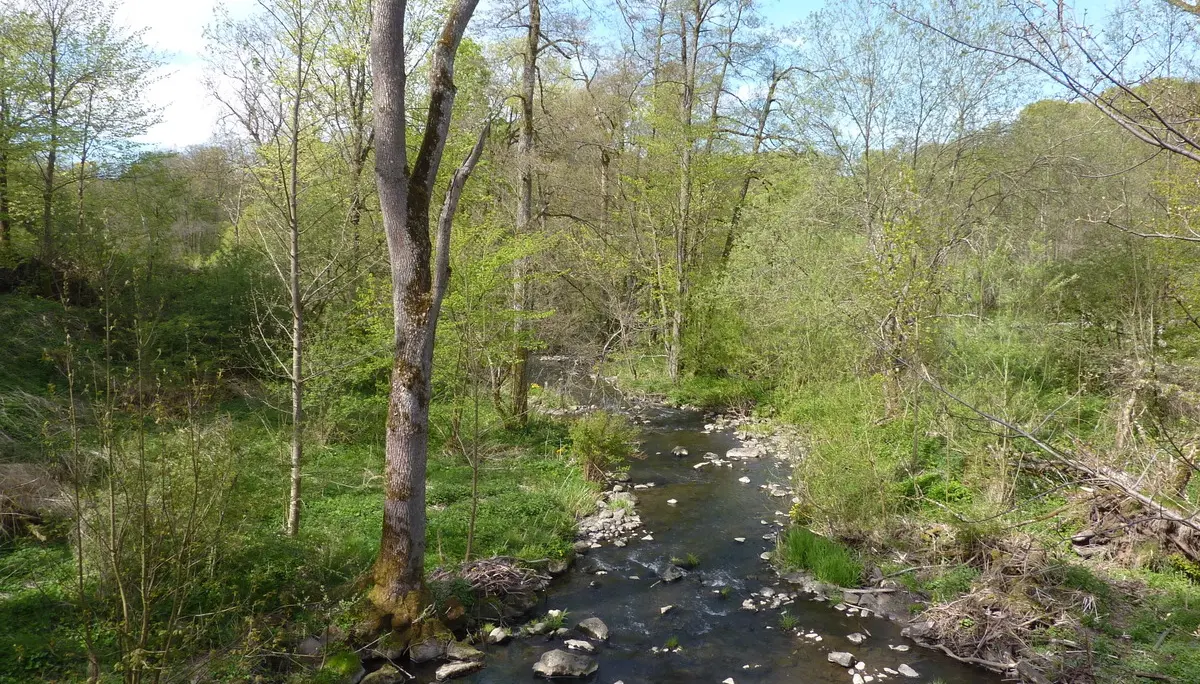 Holzbach | © DAV Koblenz