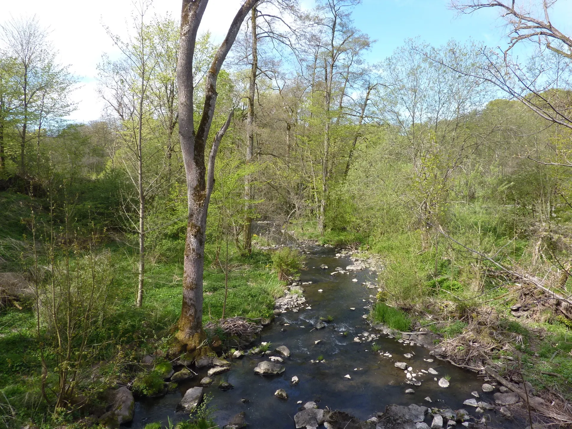 Holzbach | © DAV Koblenz