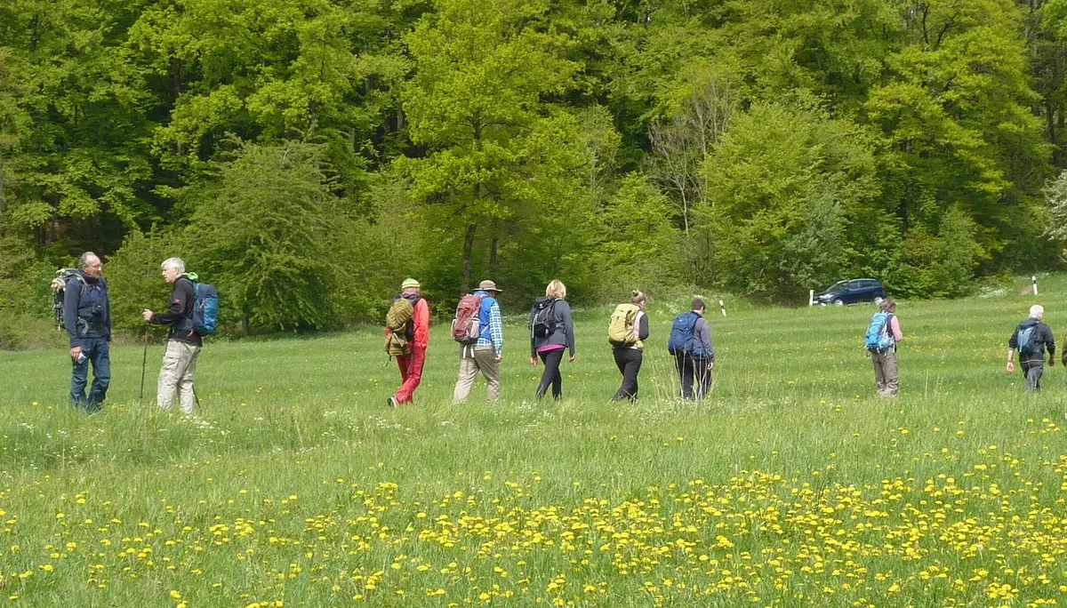 Unterwegs über Wiesen | © DAV Koblenz