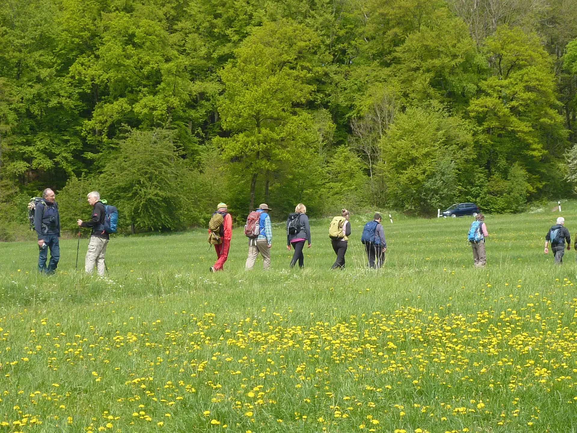 Unterwegs über Wiesen | © DAV Koblenz