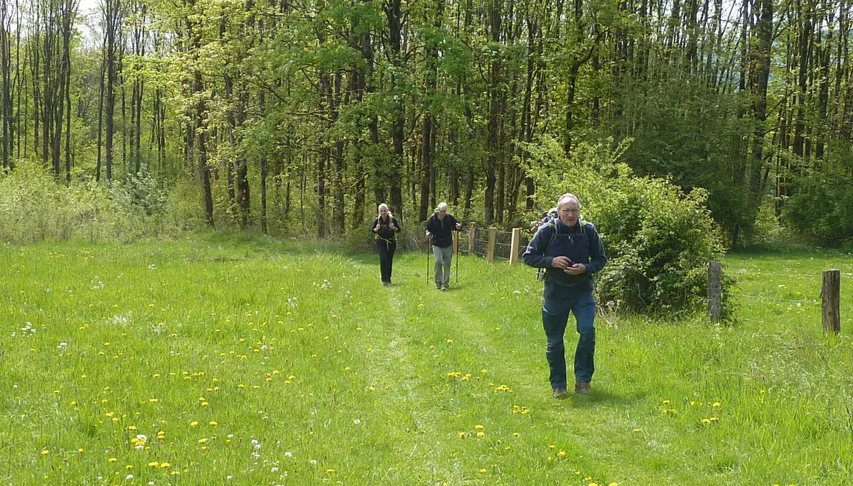 Wiesenweg | © DAV Koblenz