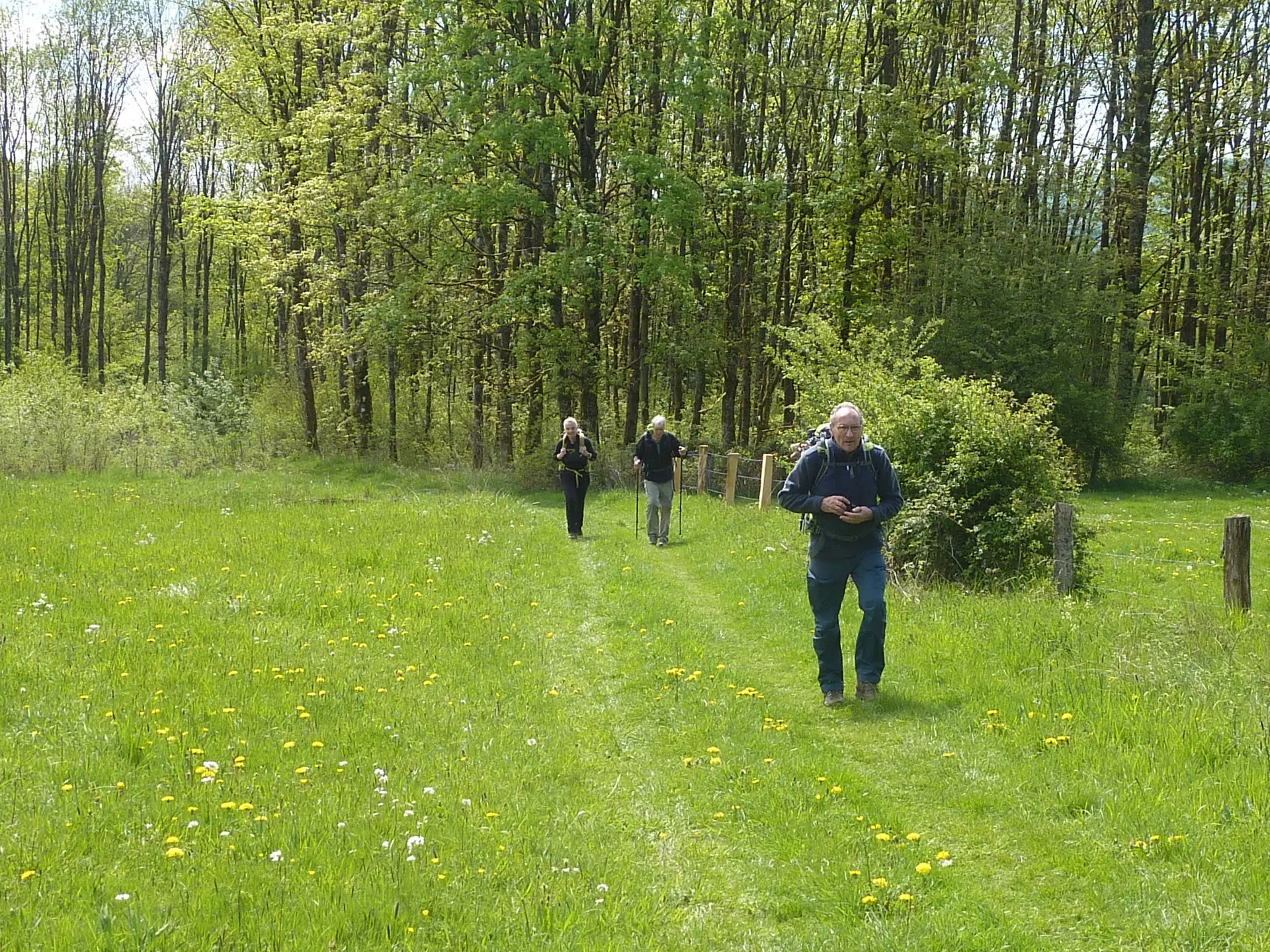Wiesenweg | © DAV Koblenz