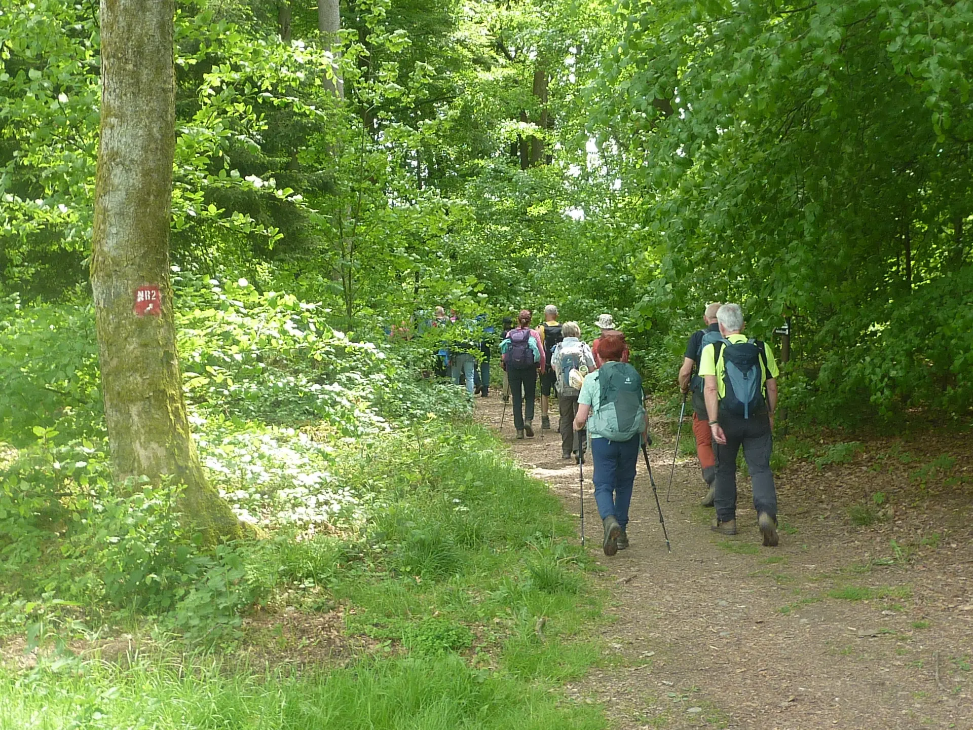 Nah beim Kleinkastell Anhausen | © DAV Koblenz