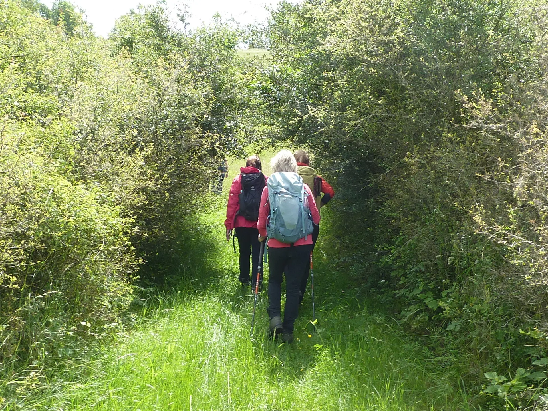 Ab durch die Hecke | © DAV Koblenz