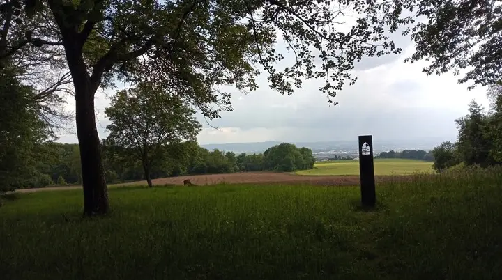 Ausblick Neuwieder Becken | © DAV Koblenz