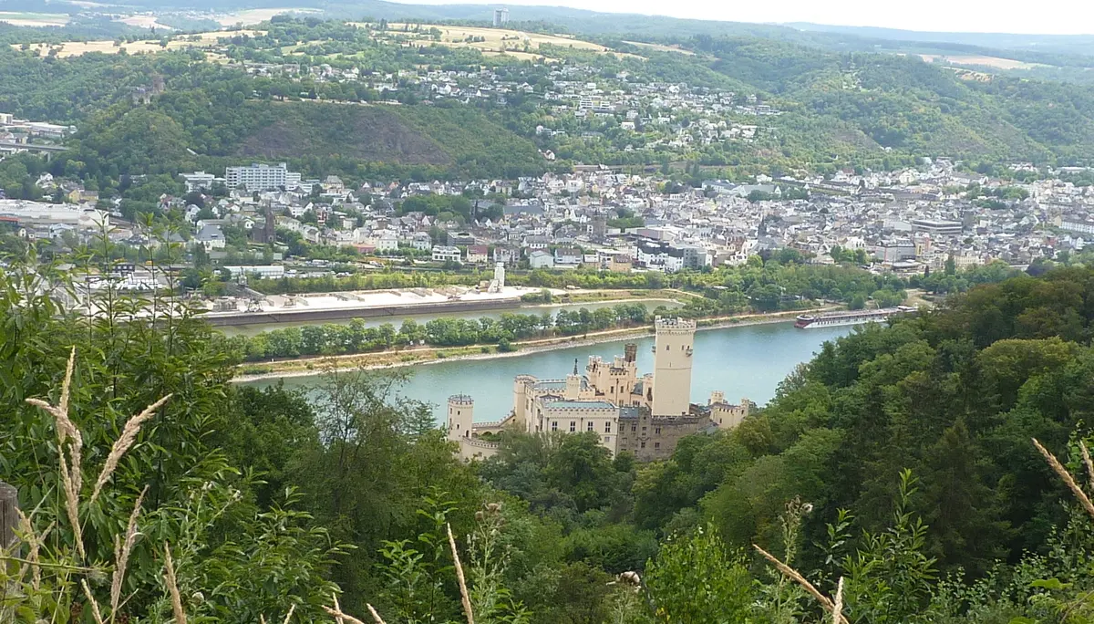 Aussicht mit Schloß Stolzenfels | © DAV Koblenz