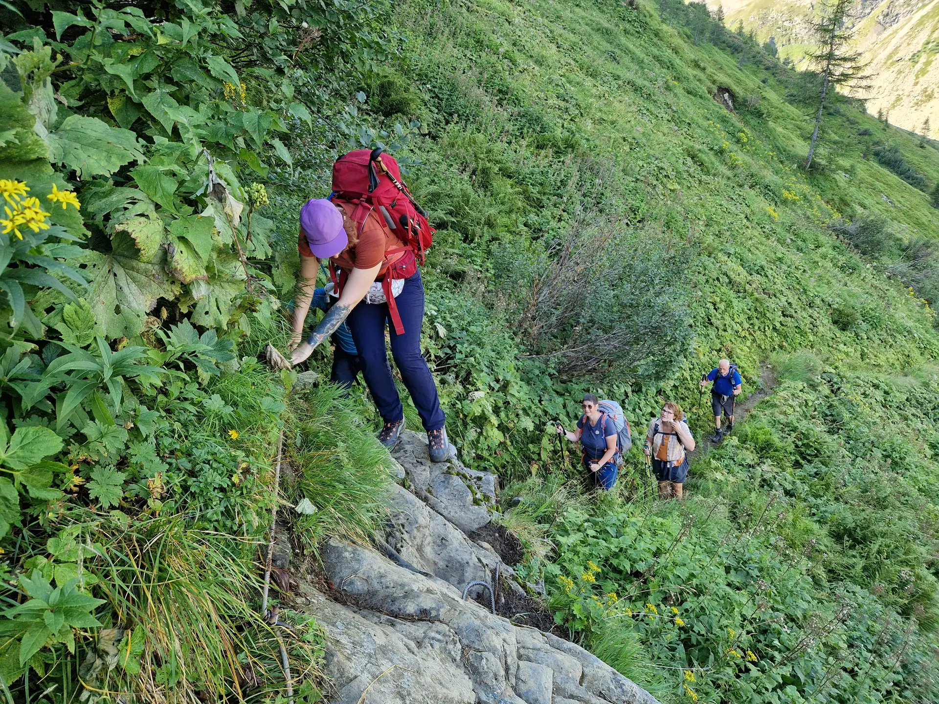 Aufstieg im schönen Grün | © DAV Koblenz