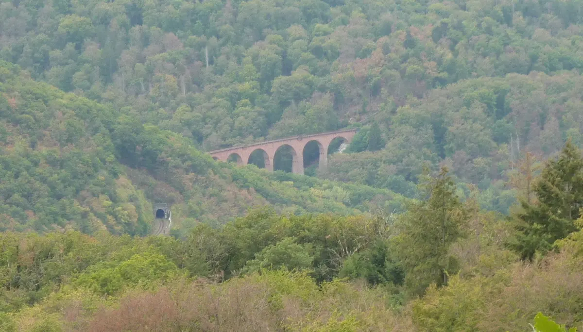 Tunnel und Viadukt der Hunsrückbahn | © DAV Koblenz