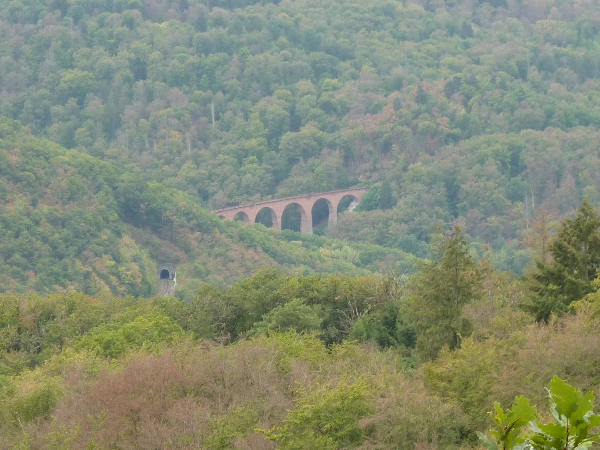 Tunnel und Viadukt der Hunsrückbahn | © DAV Koblenz