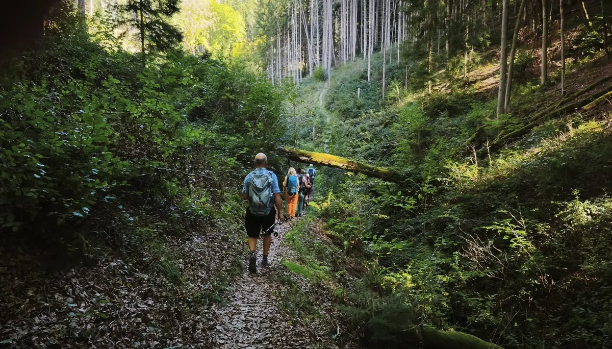 Unterwegs in idyllischer Landschaft | © DAV Koblenz