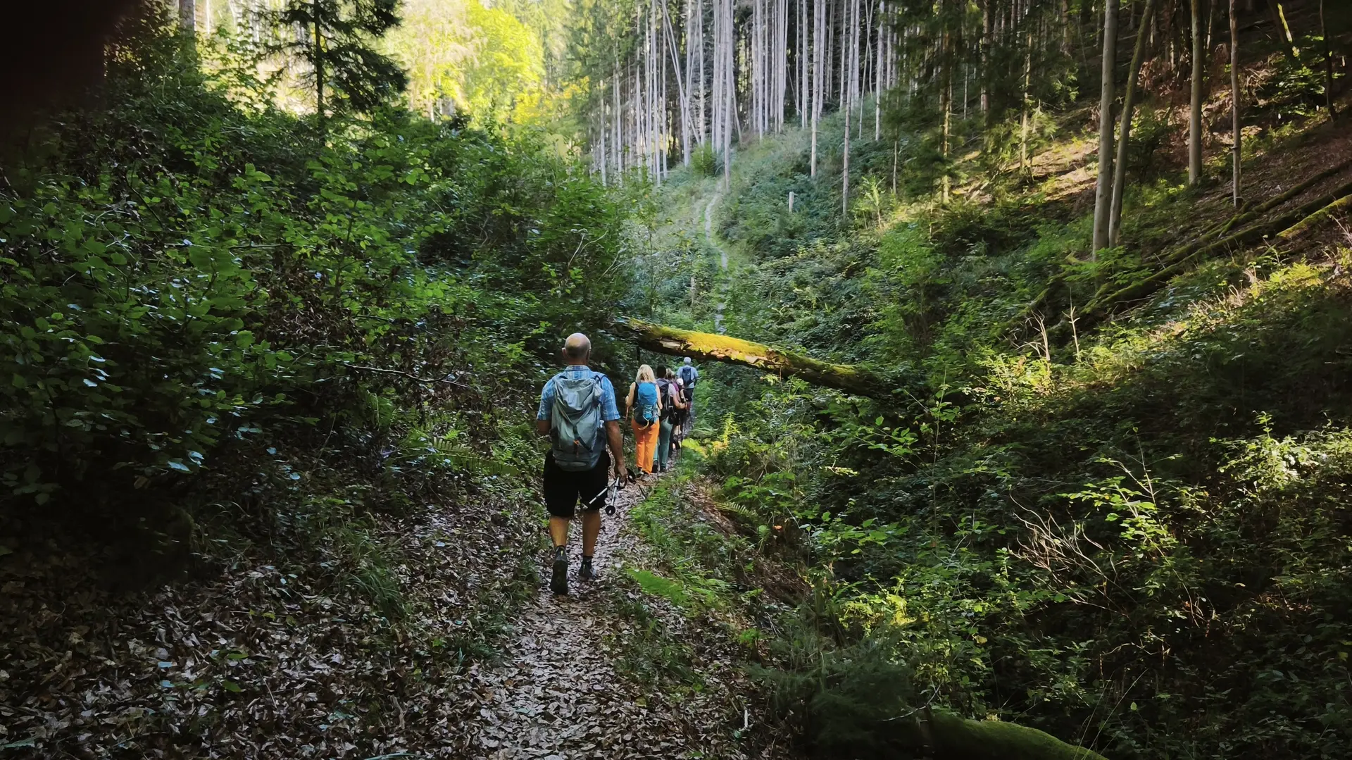 Unterwegs in idyllischer Landschaft | © DAV Koblenz