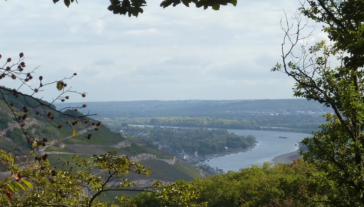 Romantischer Rheinblick | © DAV Koblenz