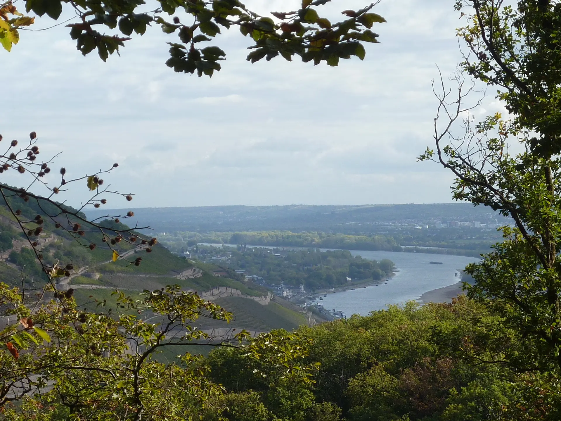 Romantischer Rheinblick | © DAV Koblenz