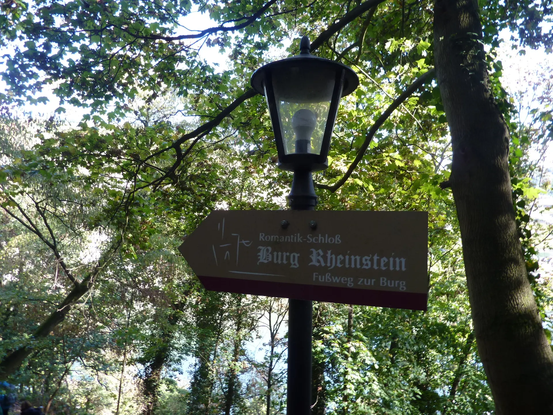 Und dann auf die Burg am romantischen Rhein | © DAV Koblenz